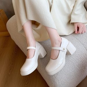 Elegant Mary Jane shoe